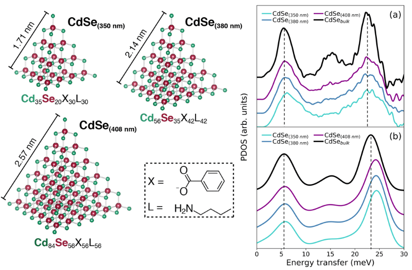 chenyang_story_image